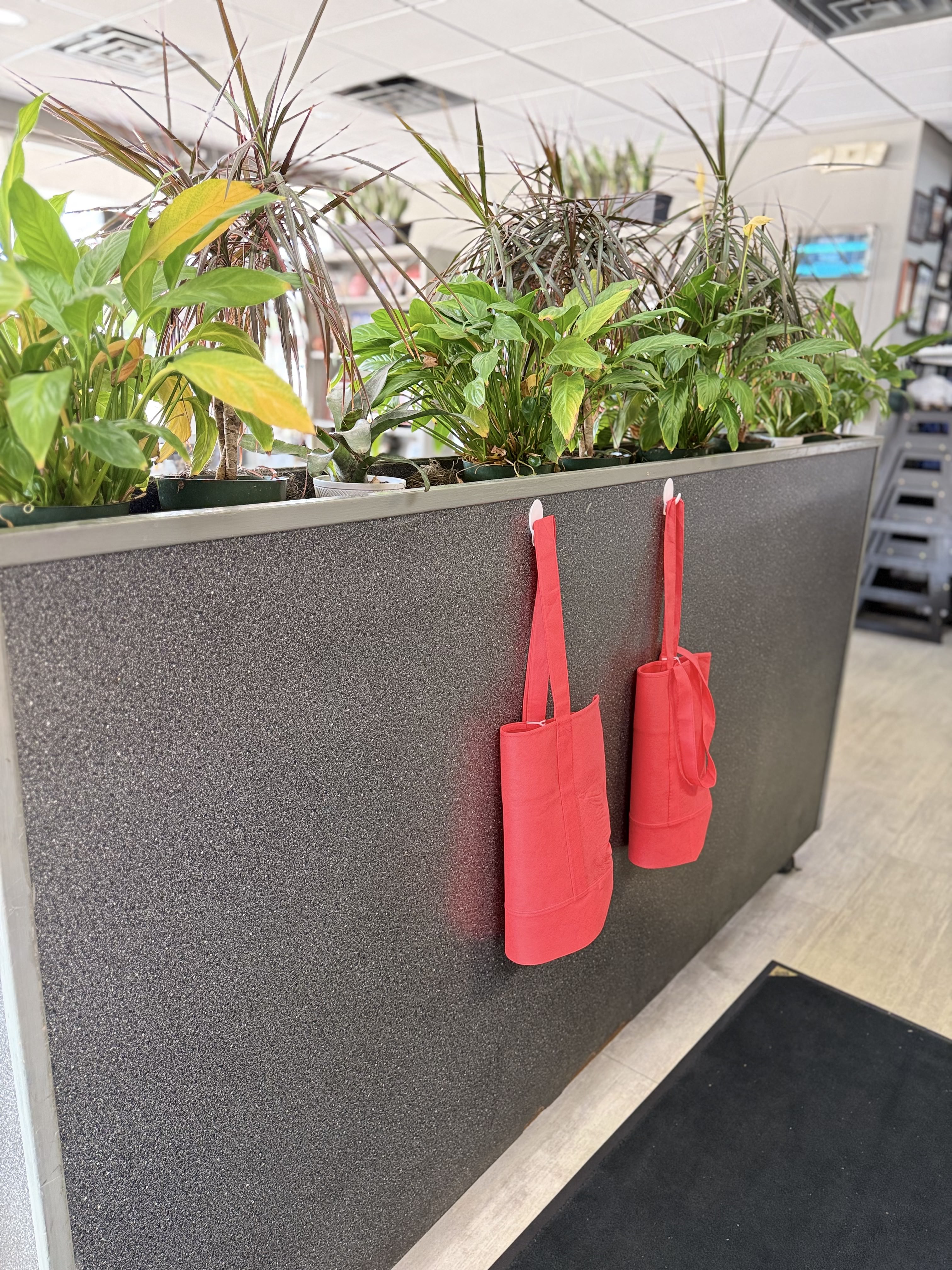 Restaurant plants